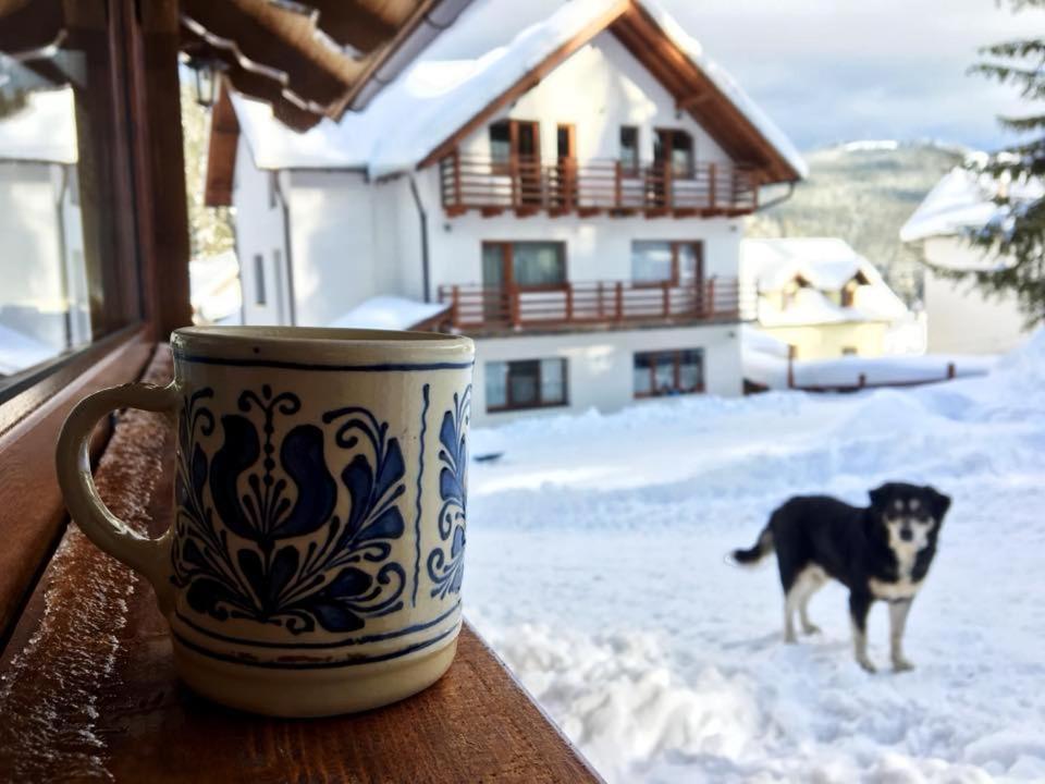 Cabana Ama Tău Bistra Exterior foto