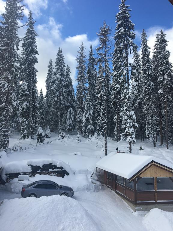 Cabana Ama Tău Bistra Exterior foto